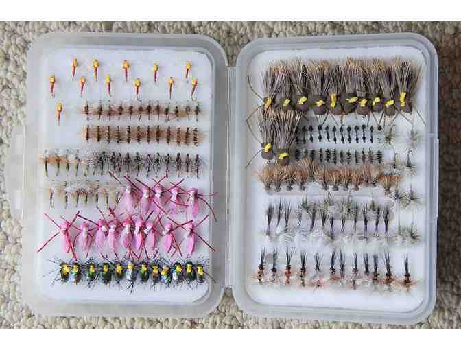 Box of Flies for All Occasions -14 Dozen Flies - Photo 1