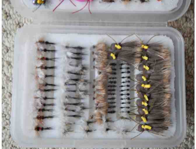 Box of Flies for All Occasions -14 Dozen Flies - Photo 3