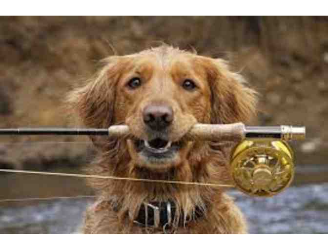 Framed Photograph by Vic Schendel - 'Fly Fishing Retriever'