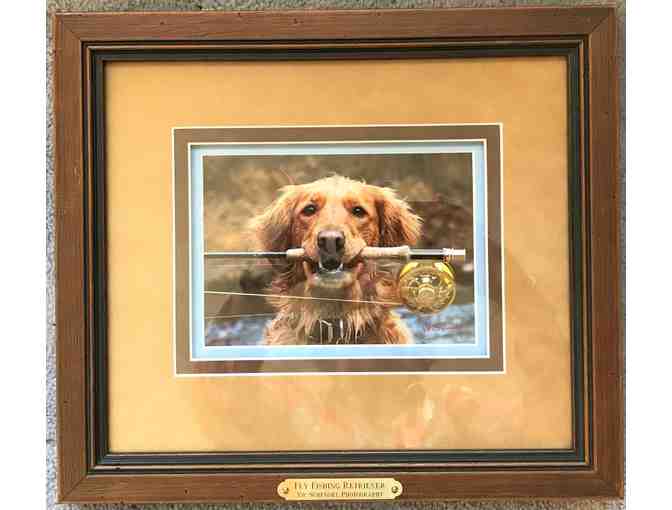 Framed Photograph by Vic Schendel - 'Fly Fishing Retriever'