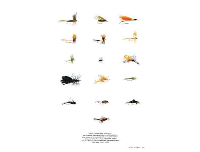 Fly Fishing Flies of The Catskills Print