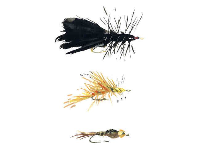 Fly Fishing Flies of The Catskills Print