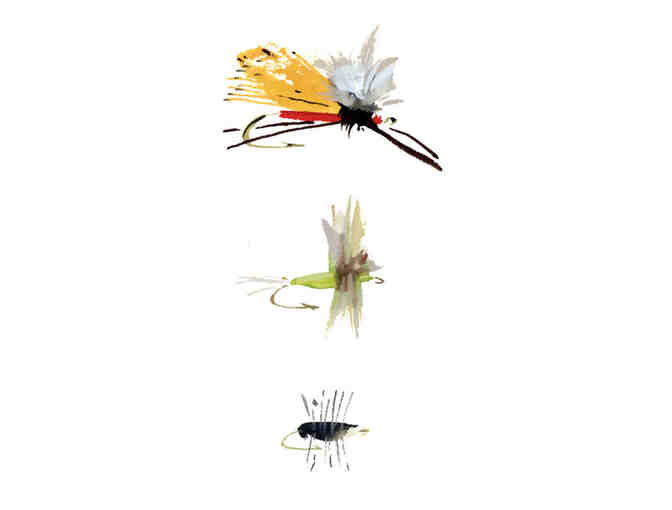 Fly Fishing Flies of The Catskills Print