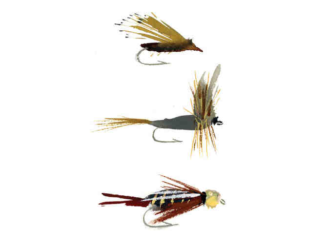 Fly Fishing Flies of The Catskills Print