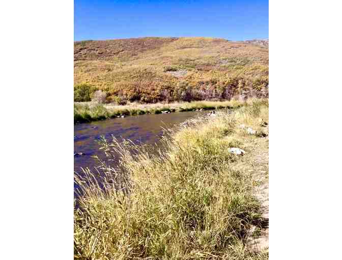 Provo River UT Walk & Wade Guided Trip