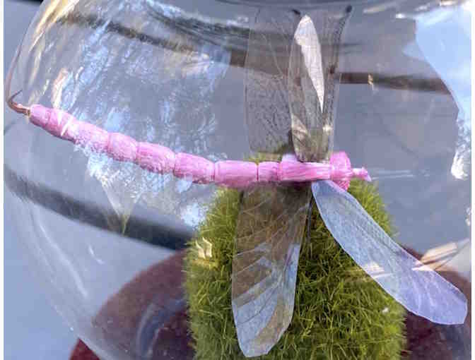Realistic Hand-Tied Dragonfly in Glass Display