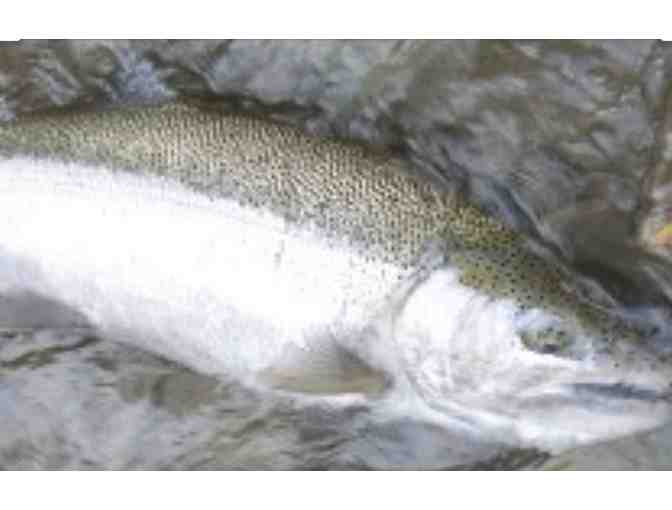 Guided Fly Fishing Trip for Steelhead for Two People