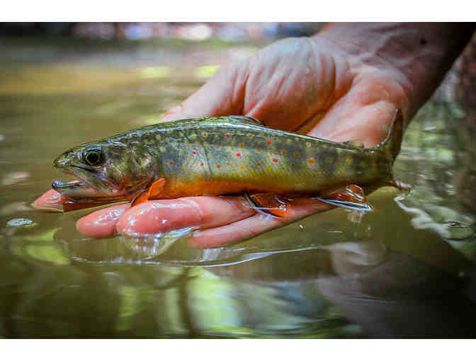 Full Day Guided Fishing Trip for Two in Western Pennsylvania