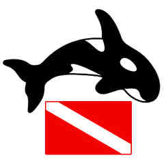 Adventures Down Under