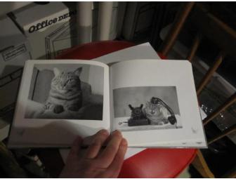 'Komische Katzen' (Funny Cats) Photo Book