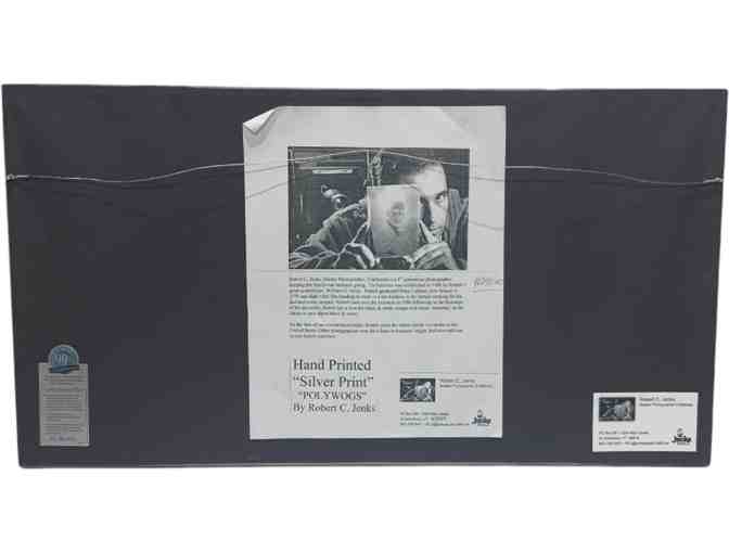 'Polywogs' - Photograph by Jenks Studio