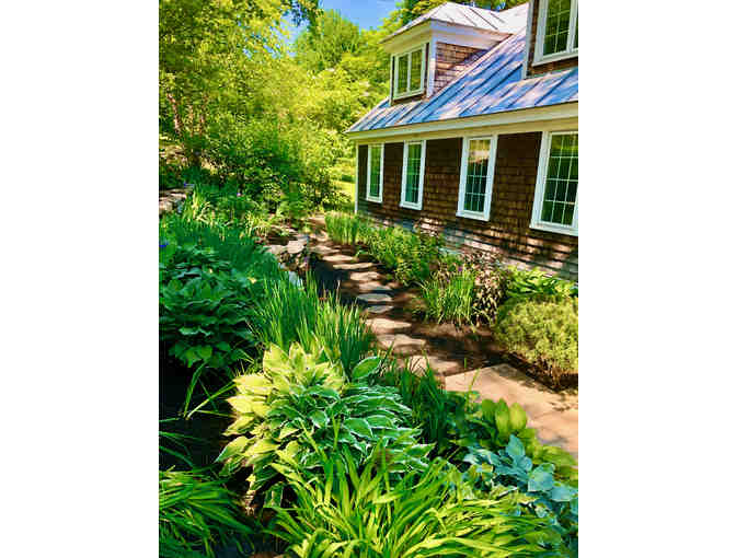 1 Hour of Garden/Landscape Consultation