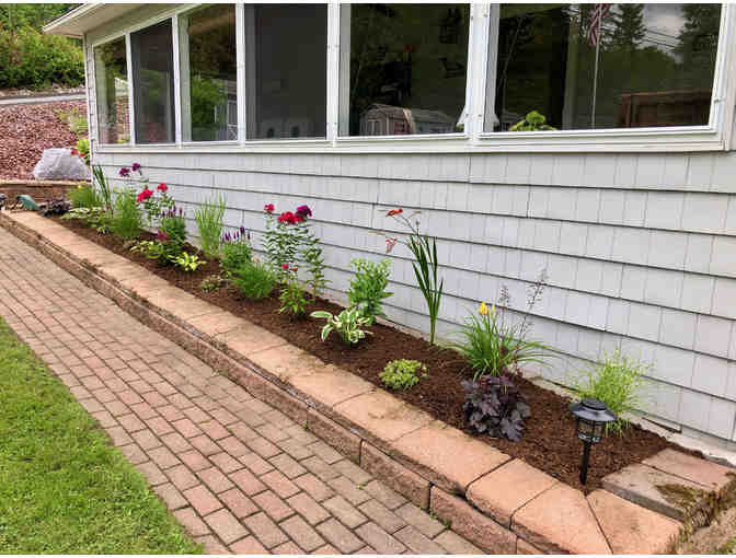 1 Hour of Garden/Landscape Consultation