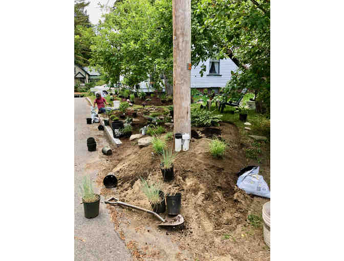 2 Hours of Professional Gardening/Landscaping