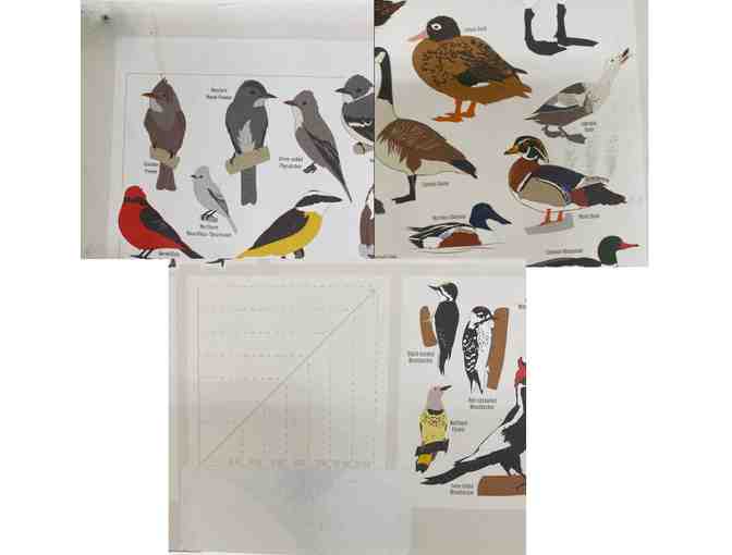 Bird-Lover's Bundle: 2 DIY Kits Plus Poster