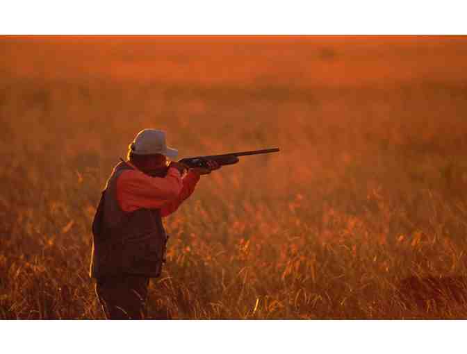 Hastings Island Guided Pheasant Hunt for Two People