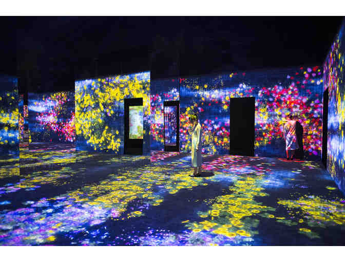 Private, VIP experience at the Asian Art Museum teamLab Exhibit! Sun., May 31
