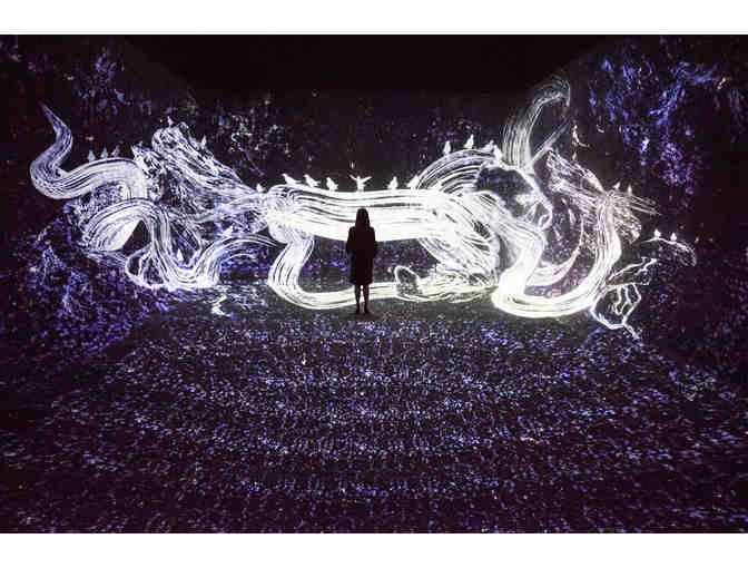 Private, VIP experience at the Asian Art Museum teamLab Exhibit! Sun., May 31