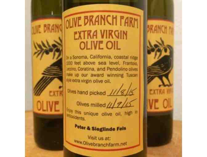 Olive Branch Farm Extra Virgin Olive Oil from Sonoma