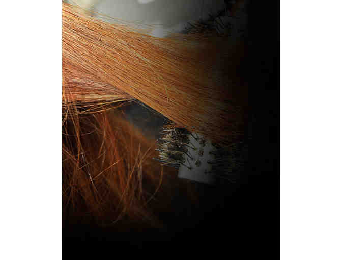 Hair Color at Magnum Opus