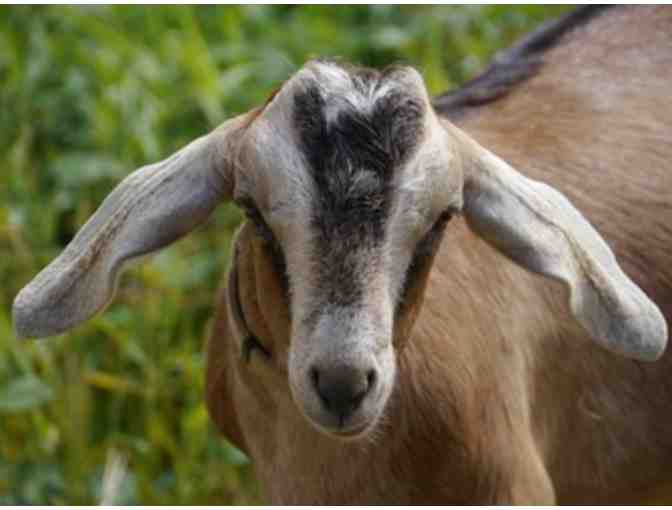 $25 to Our Table -A Cooperative of Farmers and producers of handcrafts