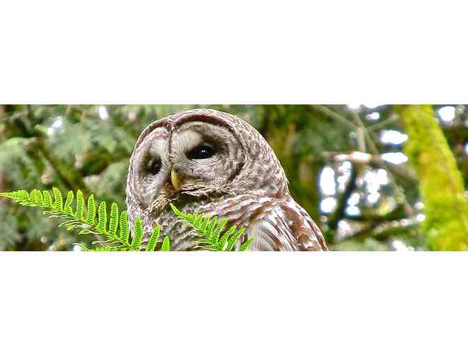 Friends of Tryon Creek Family Membership