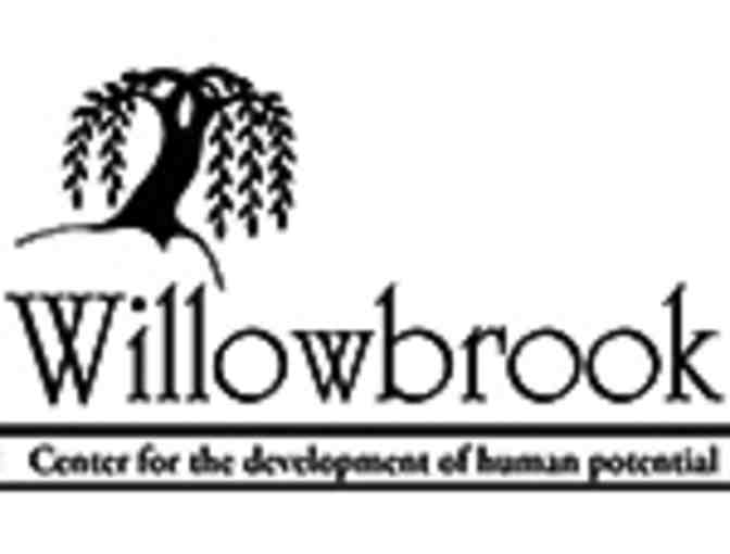 Willowbrook Arts Camp Week!