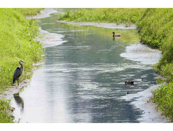 Portland BIrdwatching Experiences