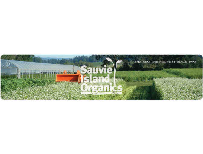2015 Salad Share from Sauvie Island Organics