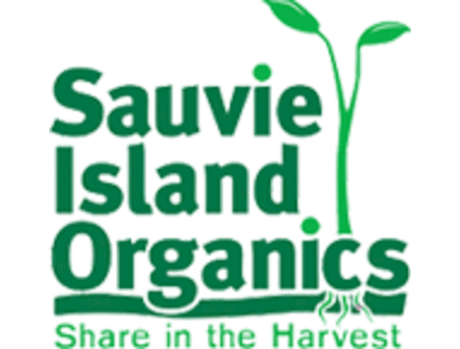 2015 Salad Share from Sauvie Island Organics