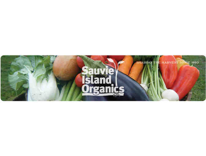 2015 Salad Share from Sauvie Island Organics