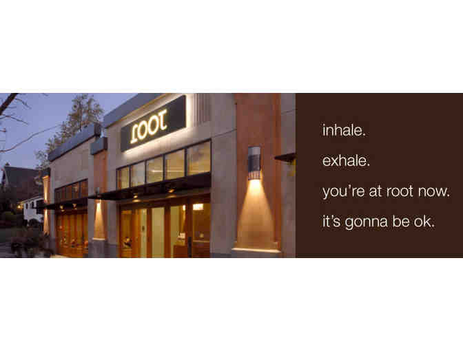 Sampler Package from Root Whole Body Health!