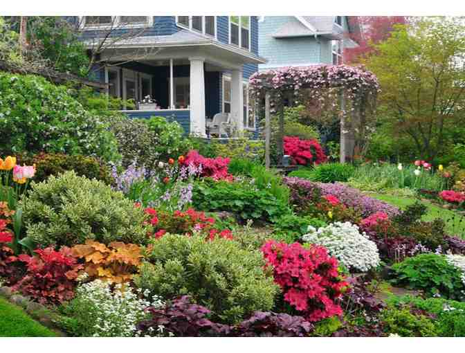 One-Hour Garden or Landscape Consultation