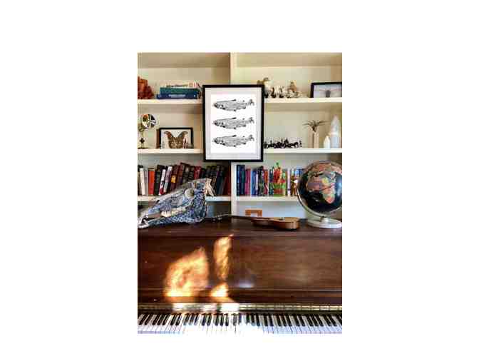 3rd Grade Class Art - Framed Gyotaku Print