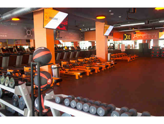 One (1) Month Elite Orange Theory Membership - Orenco Station location