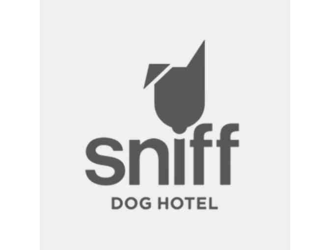 Sniff Dog Hotel - Dog boarding for two nights & bubble bath