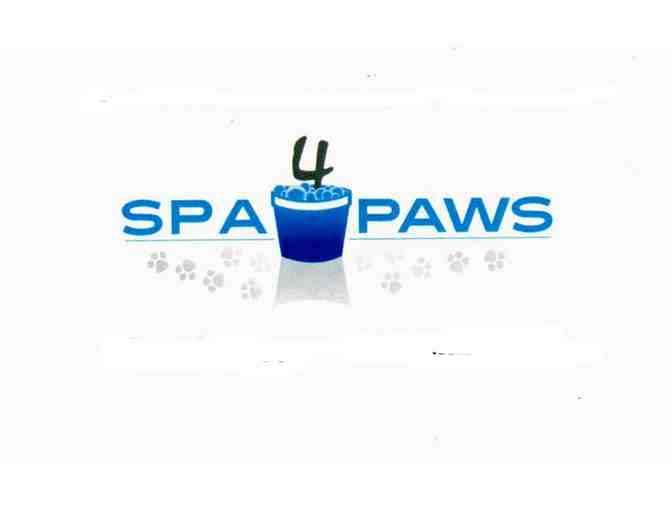 Spa4Paws Dog Grooming Gift Certificate