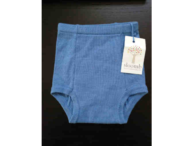 Knit Wool Diaper Cover in the color 'Calypso'
