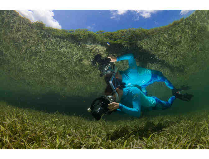 Nikon D7000 Camera Body