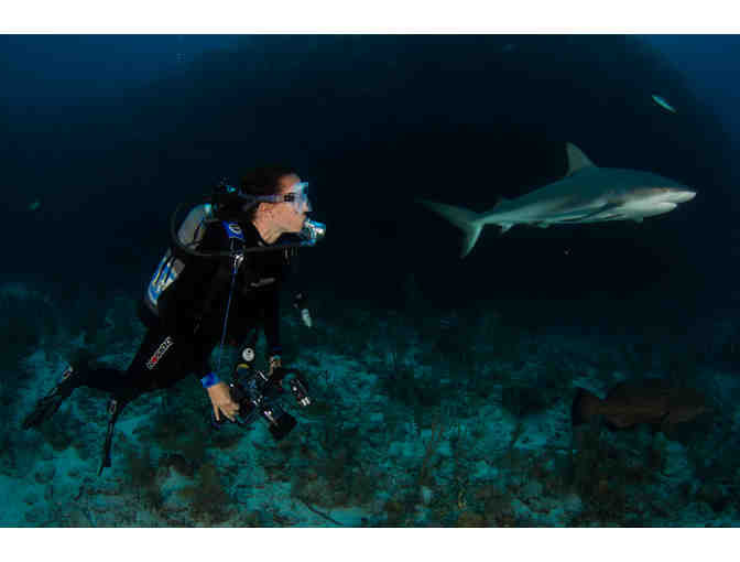 Nikon D7000 Camera Body