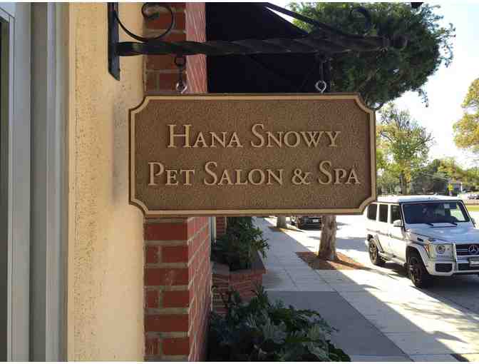 Hana Snowy Pet Salon