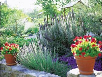 Celebrate Romance - Ojai Valley Inn and Spa Getaway