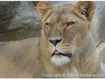 After Hours at the Zoo