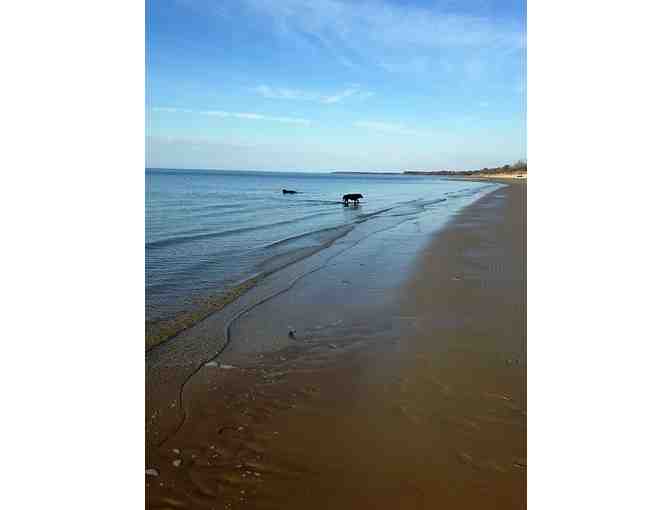 Nostalgic Sweet 2-Night Stay at Windrush Cottage, Smith Beach