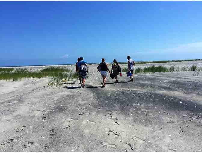 Ecotour for Six people with Seaside Ecotours Out of Wachapreague