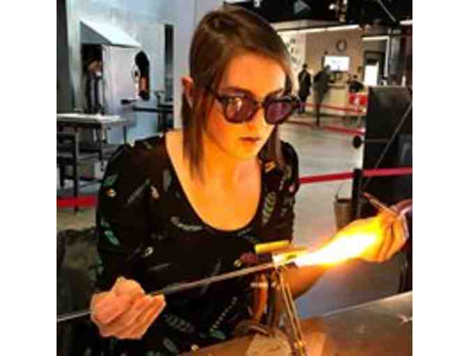 One year Household Membership to the Chrysler Museum of Art