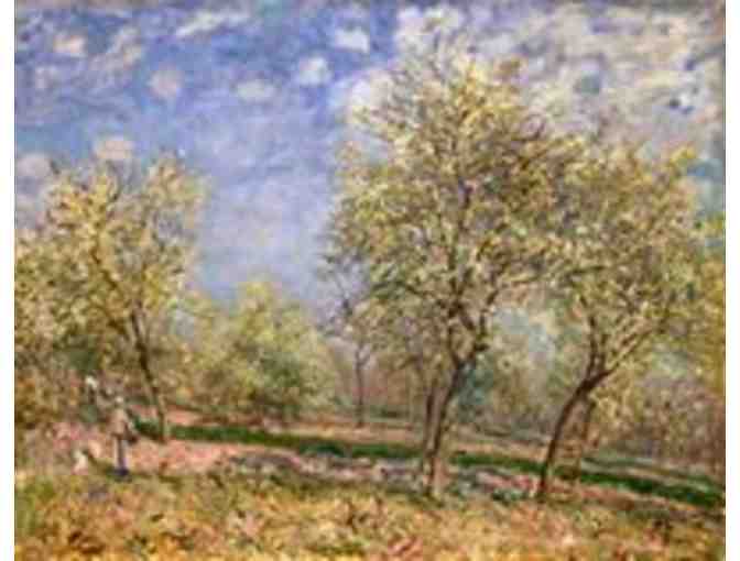 One year Household Membership to the Chrysler Museum of Art