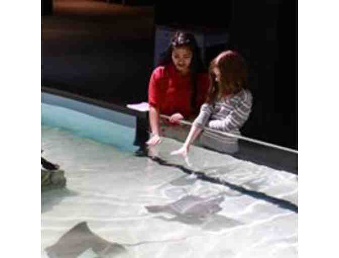 Four passes to the Virginia Aquarium and Marine Science Center