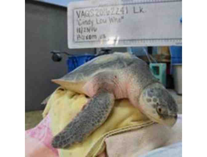 Four passes to the Virginia Aquarium and Marine Science Center