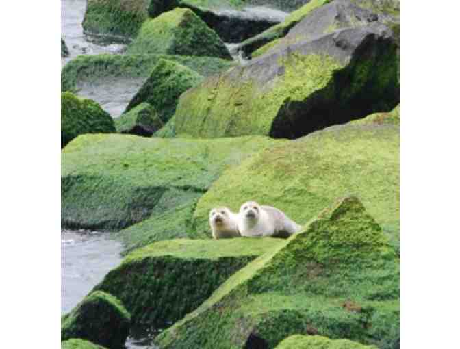 Behind Scenes Tour of Engineering Wonder- Chesapeake Bay Bridge Tunnel + Dine/Shop